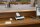 EPSON DS-C490 Dokumentenscanner