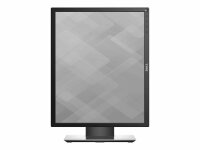 DELL P1917S Monitor 48,0 cm (19,0 Zoll) schwarz