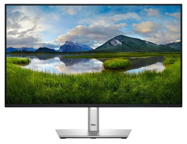 DELL P2425HE Monitor 61,0 cm (24,0 Zoll) schwarz