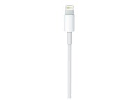 Apple Lightning/USB C Kabel 1,0 m weiß, 1 St.
