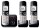 Panasonic KX-TG6823GB Schnurloses Telefon-Set mit Anrufbeantworter schwarz-silber