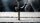 BOSCH Hammerbohrer-Set PRO SDS plus-5X, 5-teilig