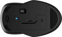 HP 250 Maus kabellos schwarz