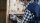 5 BOSCH C470 Schleifblätter 240