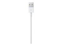Apple USB 2.0 A/Lightning Kabel 0,5 m weiß, 1 St.