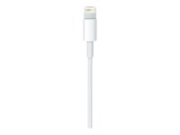 Apple USB 2.0 A/Lightning Kabel 0,5 m weiß, 1 St.