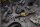 DEWALT Akku-Ratsche, 3/8-1/2Z, 18V / 1,7Ah