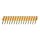 DEWALT Naegel 25x2,6mm 1.005 Stk.