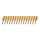 DEWALT Naegel 40x2,6mm 1.005 Stk.