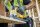 DEWALT Akku-Pendelhub-Stichsaege