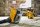 DEWALT Staubbox-Absaugadapter
