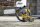 DEWALT SDS-plus Universal-Staubabsaugung